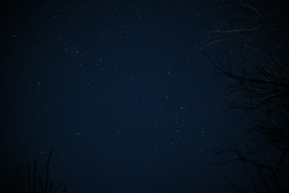【金運最強日】5月16日の12星座運勢｜財布を整えるなら今