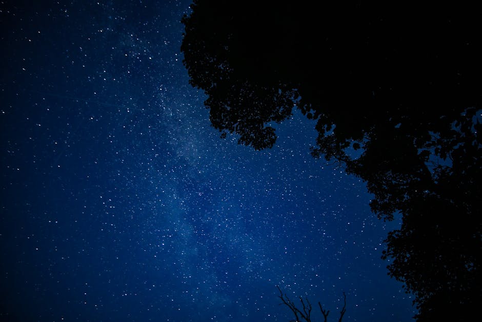【5月30日】12星座の今日の運勢｜丁寧に過ごす土曜日