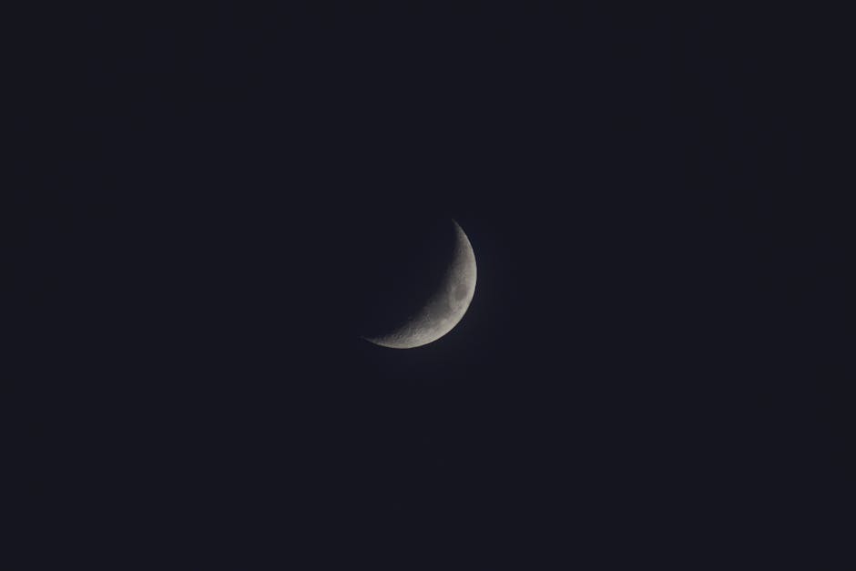 【一粒万倍日】5月31日の12星座運勢｜種まきは今日が吉