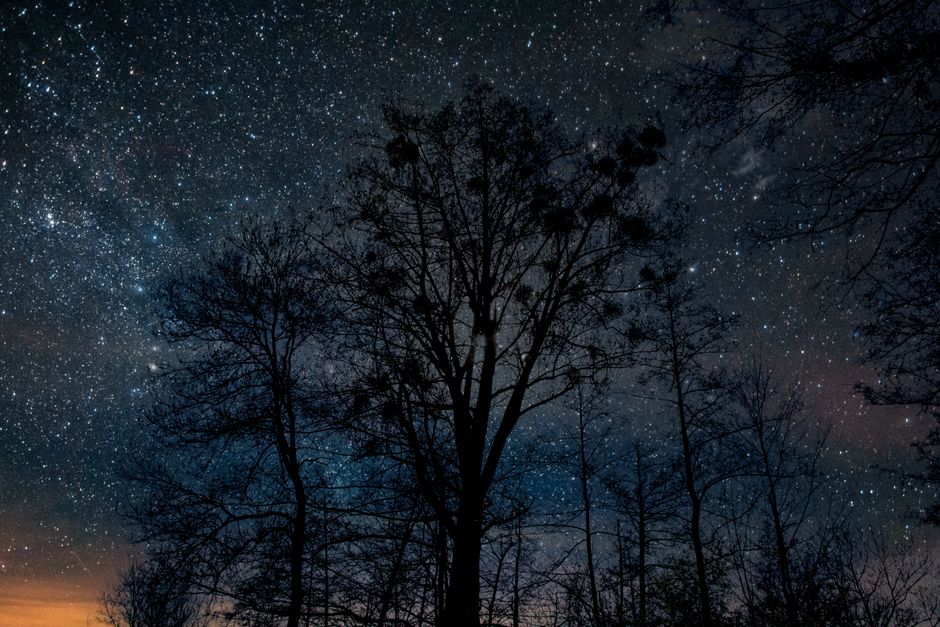 【6月23日】12星座の運勢｜大安は動きの日