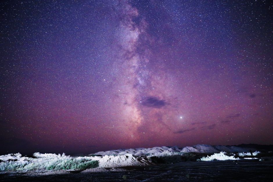 【一粒万倍日】6月24日の12星座運勢｜種まきの日