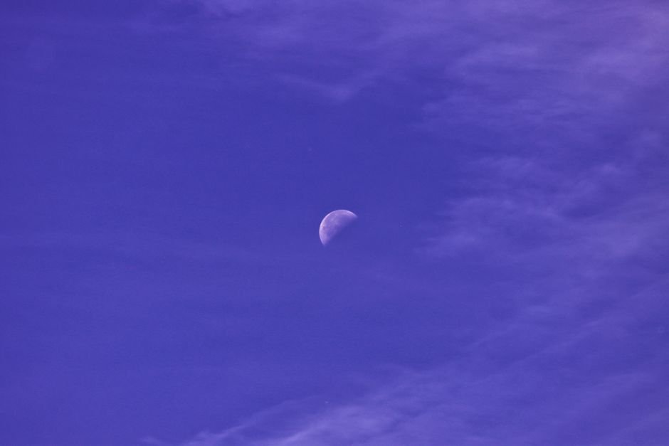 7月24日の星座占い｜金曜日の運勢と開運行動